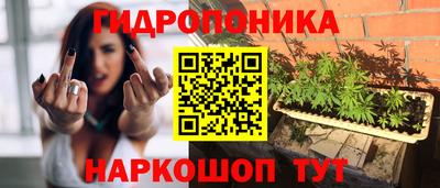 spice Кингисепп