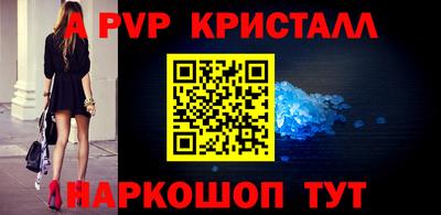 spice Кингисепп