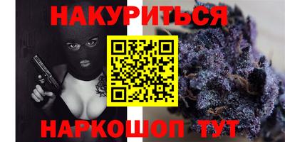 spice Кингисепп
