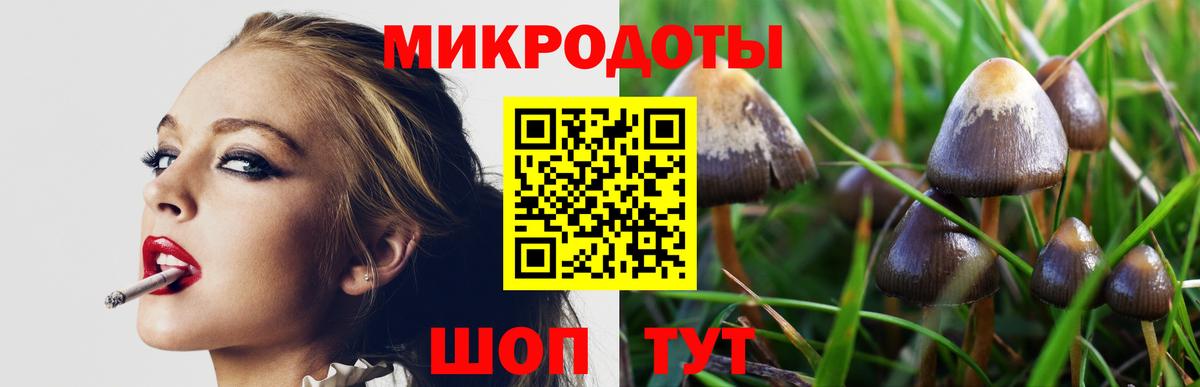 Галлюциногенные грибы Psilocybe Кимовск